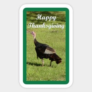 Happy Thanksgiving Turkey Sticker